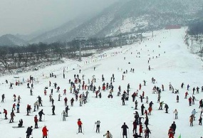 西岭雪山1日游