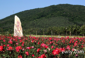 三亚《180度海景》双飞5日游 住2晚挂四酒店+2晚180度海景房