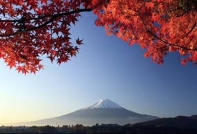 日本本州全景温泉双古都美食《经典》6/7日游 白班环线直飞