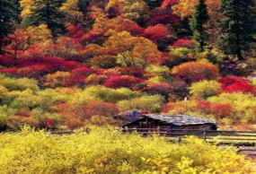 达古冰山、羊茸哈德、奶子沟二日游