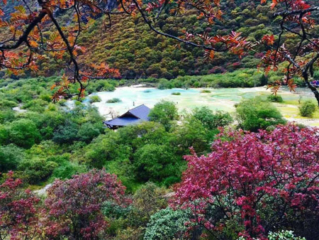 西岭雪山滑雪场滑草场旅游地图 