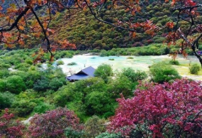 西宁、塔尔寺、大清真寺、茶卡盐湖、青海湖双飞3日游